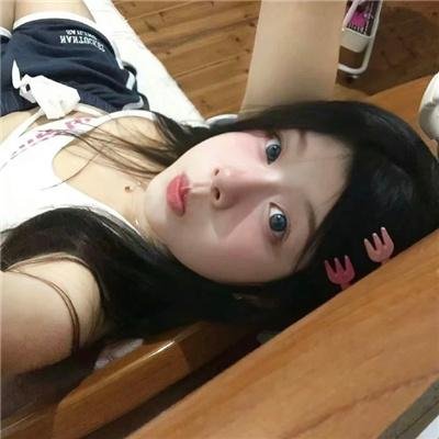 爱是一只猫